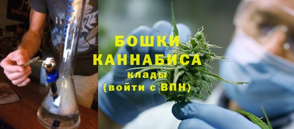 ГАЛЛЮЦИНОГЕННЫЕ ГРИБЫ Балабаново