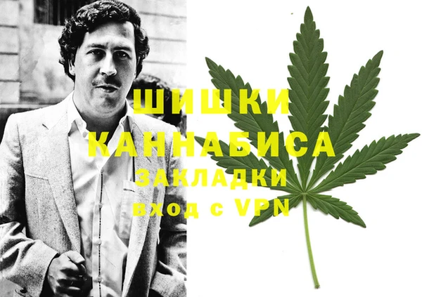 ГАЛЛЮЦИНОГЕННЫЕ ГРИБЫ Балабаново