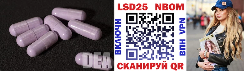 блэк спрут ссылка  как найти закладки  Краснотурьинск  Лсд 25 экстази кислота 